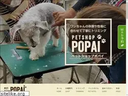 Sites similar to petshoppopai.com