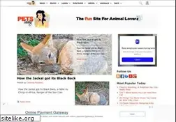 Sites similar to petslady.com