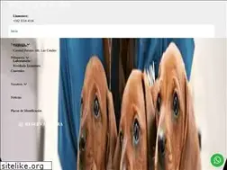 Sites similar to petsmann.cl