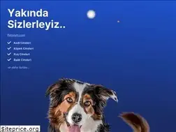 Sites similar to petspedi.com
