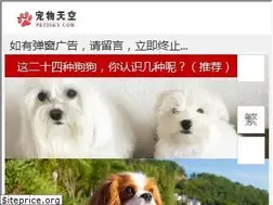 Sites similar to petssky.com