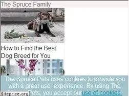 Sites similar to petsupplies.about.com