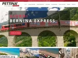 Sites similar to pettinaviaggi.it