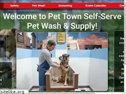 Sites similar to pettownwash.com