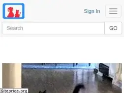 Sites similar to pettube.com