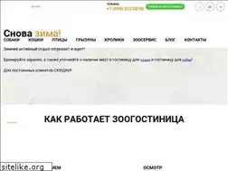 Sites similar to pettyburg.ru