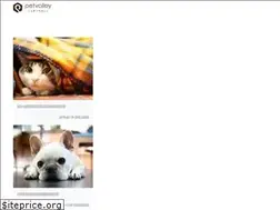 Sites similar to petvalley.jp