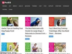 Sites similar to petxu.com