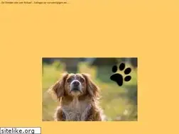 Sites similar to petzi.vet