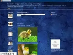 Sites similar to petzinn.blogspot.com