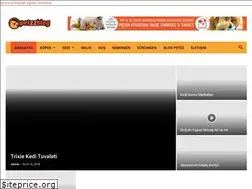 Sites similar to petzzblog.com