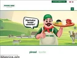 Sites similar to peynircibaba.com.tr