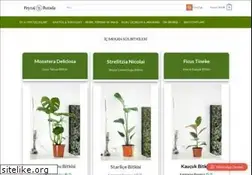 Sites similar to peyzajburada.com