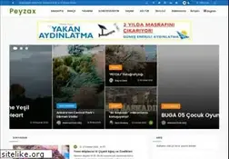 Sites similar to peyzax.com