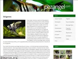 Sites similar to pezangel.com
