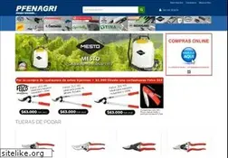 Sites similar to pfenagri.cl