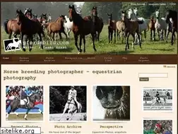 Sites similar to pferdebild.com
