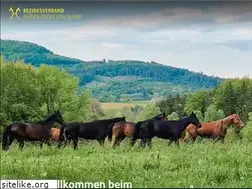 Sites similar to pferdezucht-hessen.de