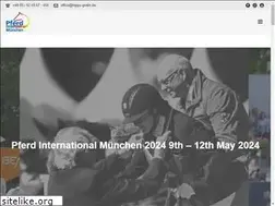 Sites similar to pferdinternational-munich.com