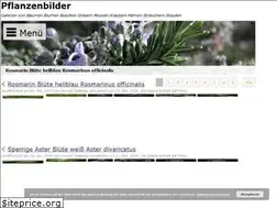 Sites similar to pflanzen-bild.de