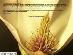 Sites similar to pflanzen-foto.de