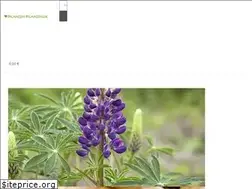 Sites similar to pflanzen-pflanzen.de