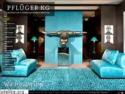 Sites similar to pflueger-kg.com