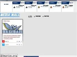 Sites similar to pgccowls.com
