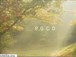 Sites similar to pgcd.co.jp