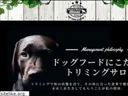 Sites similar to ph-misaki.com