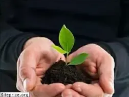 Sites similar to pharmaatree.in