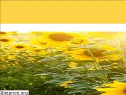 Sites similar to phatoil.com