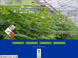 Sites similar to phcmexico.com.mx