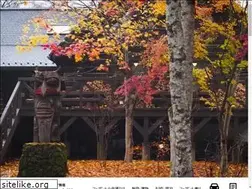 Sites similar to pheasant.ne.jp