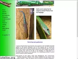 Sites similar to phelsuma.se