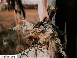 Sites similar to philippecahen.com