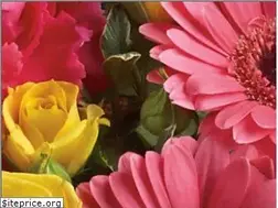 Sites similar to phillips-flowers.com