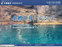Sites similar to phoenix-css.com