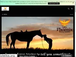 Sites similar to phoenixrisingsaddles.com