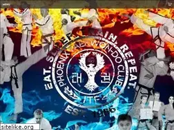Sites similar to phoenixtaekwon-do.ca