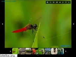 Sites similar to photale.com