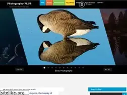 Sites similar to photo-plus-you.blogspot.com