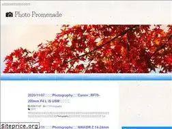 Sites similar to photo-promenade.com