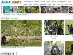 Sites similar to photoanimal.ru