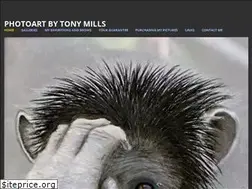 Sites similar to photoartbytonymills.com