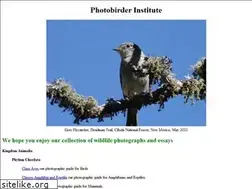 Sites similar to photobirder.com