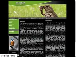 Sites similar to photogeza.com