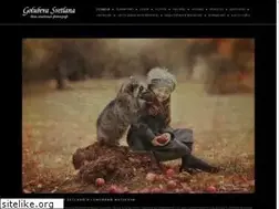 Sites similar to photogolubeva.ru