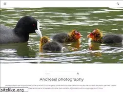 Sites similar to photographer.org.nz