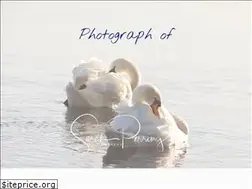 Sites similar to photographof.com